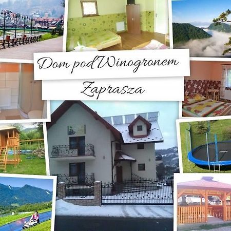 什恰夫尼察Dom Pod Winogronem公寓 外观 照片