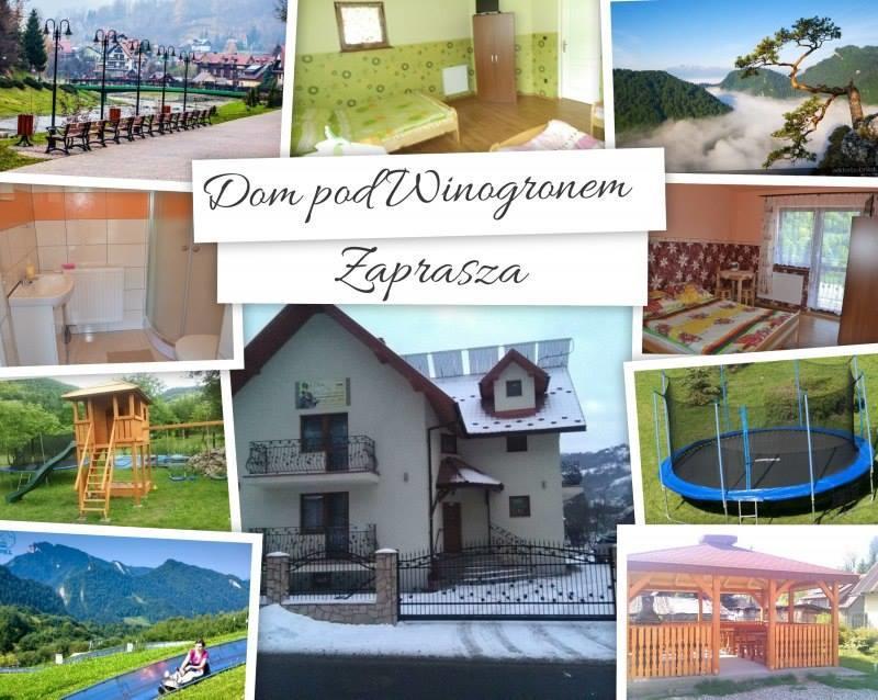 什恰夫尼察Dom Pod Winogronem公寓 外观 照片